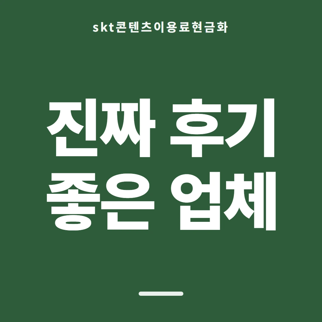품티켓 SKT 콘텐츠이용료 휴대폰 결제 얼개 안내 이미지