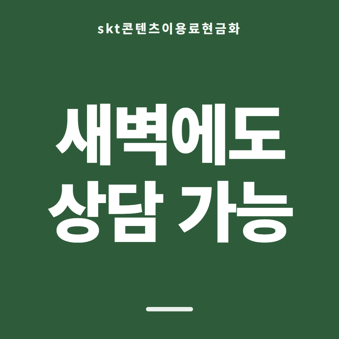 품티켓 SKT 콘텐츠이용료 확인할 때의 판단 기준 안내 이미지